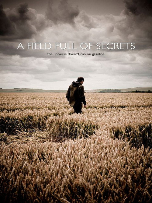 Póster de A Field Full of Secrets