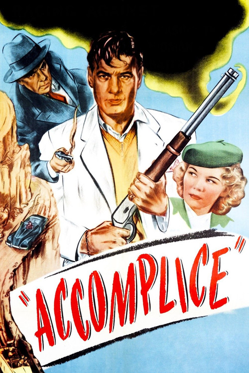 Póster de Accomplice