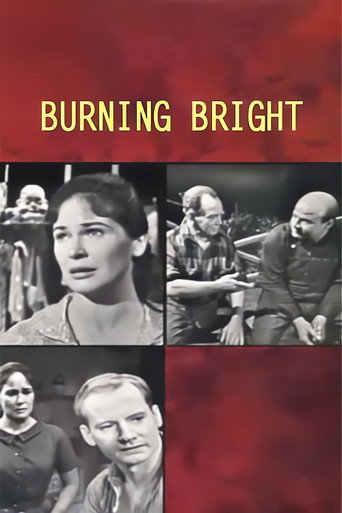 Póster de Burning Bright