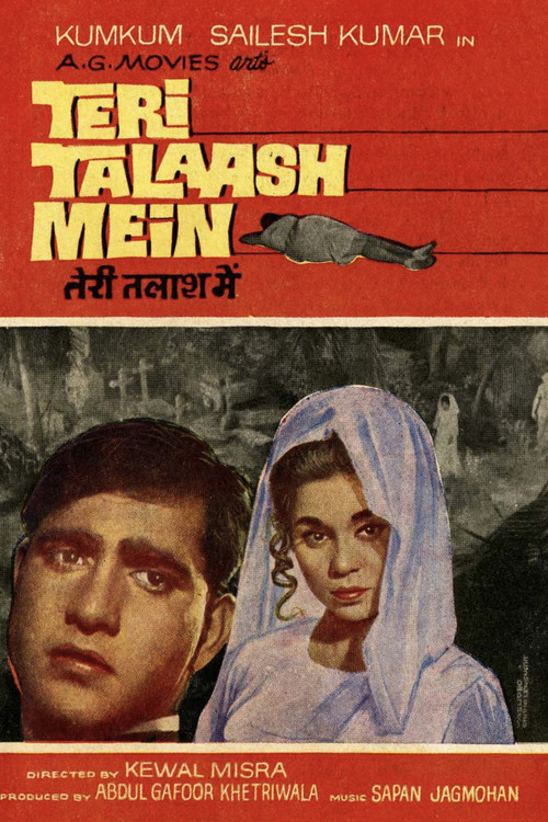 Póster de तेरी तलाश में