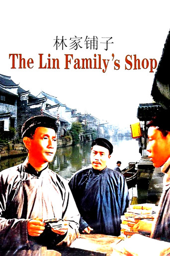 Póster de 林家鋪子