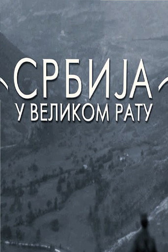 Póster de Srbija u Velikom ratu