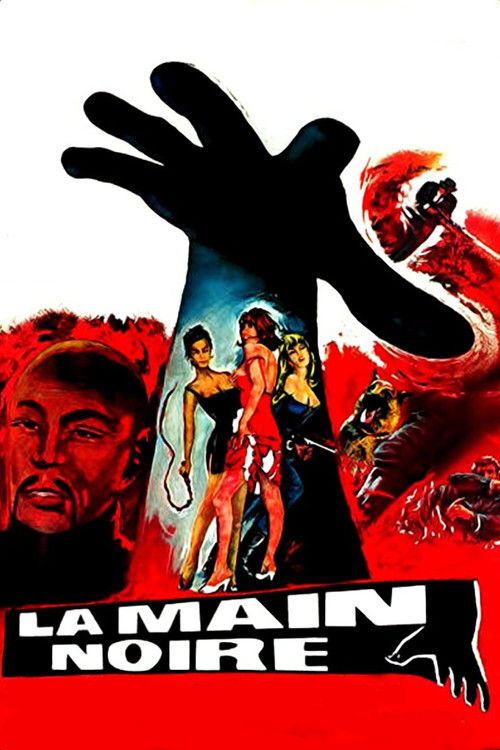 Póster de La Main noire