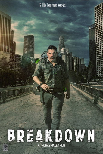 Póster de Breakdown