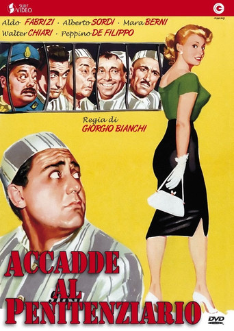 Póster de Accadde al Penitenziario
