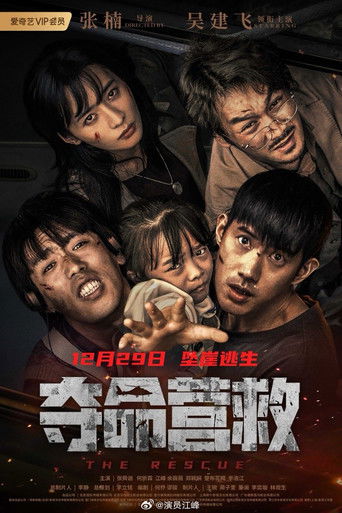 Póster de 夺命营救