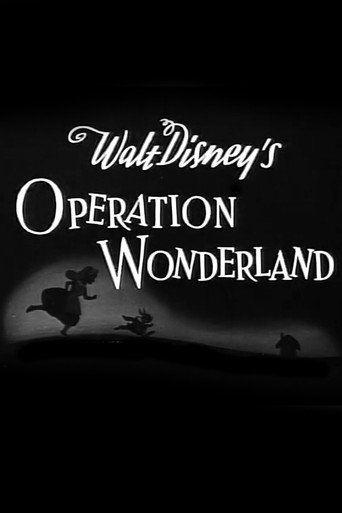 Póster de Operation Wonderland