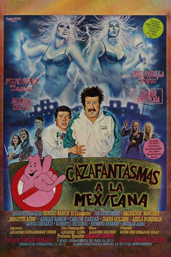 Póster de ¡Mátenme porque me muero!