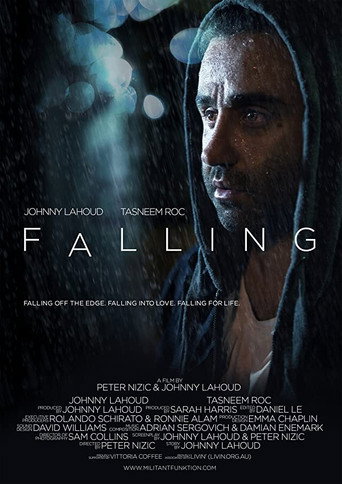 Póster de Falling