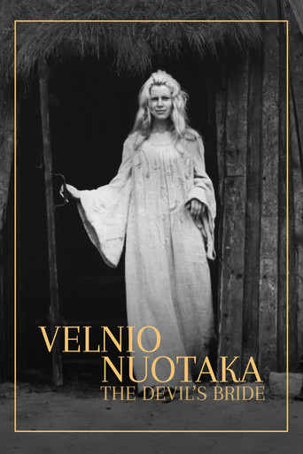 Póster de Velnio nuotaka