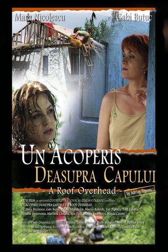 Póster de Un acoperiș deasupra capului