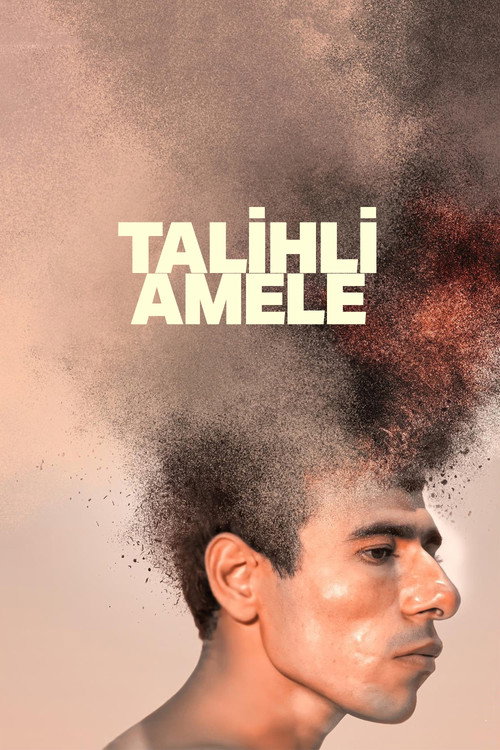 Póster de Talihli Amele