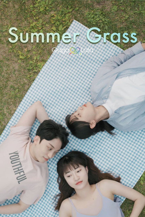 Póster de 잎의 여름