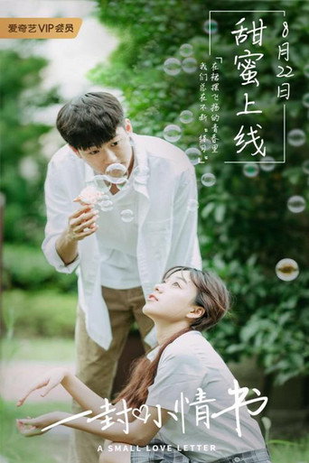Póster de 一封小情书