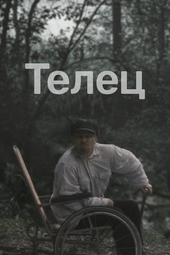 Póster de Taurus