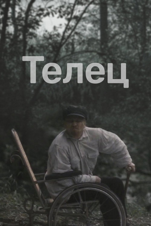 Póster de Телец