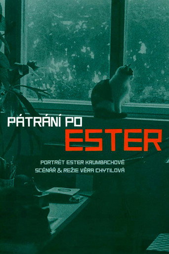 Póster de Pátrání po Ester