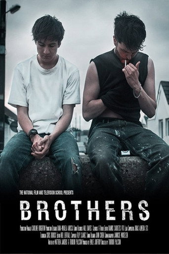 Póster de Brothers