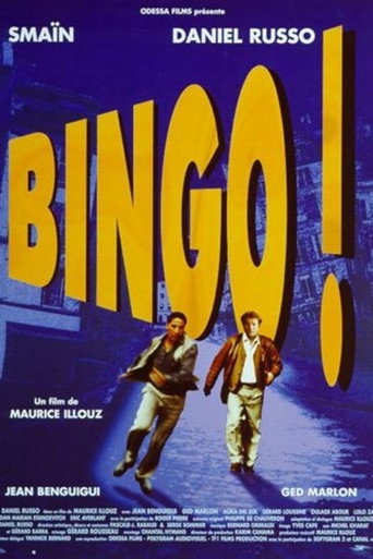 Póster de Bingo !