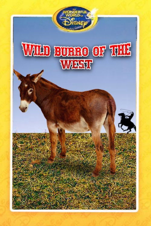 Póster de Wild Burro of the West