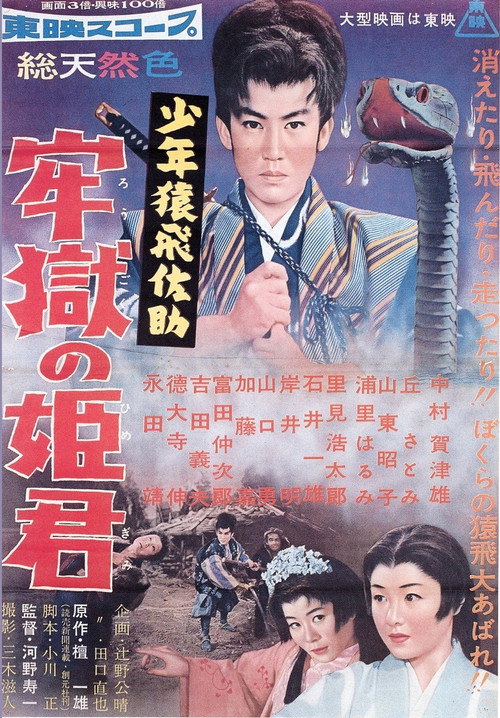 Póster de 少年猿飛佐助 牢獄の姫君