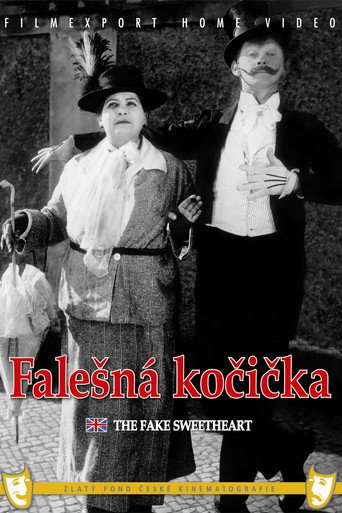 Póster de Falešná kočička
