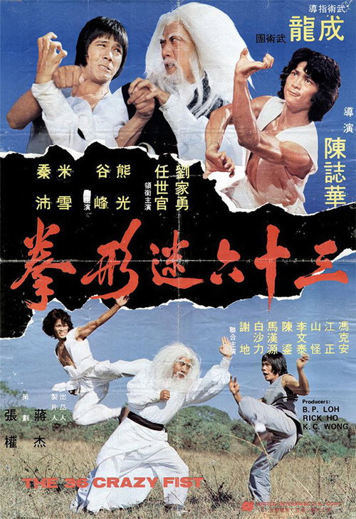 Póster de 三十六迷形拳