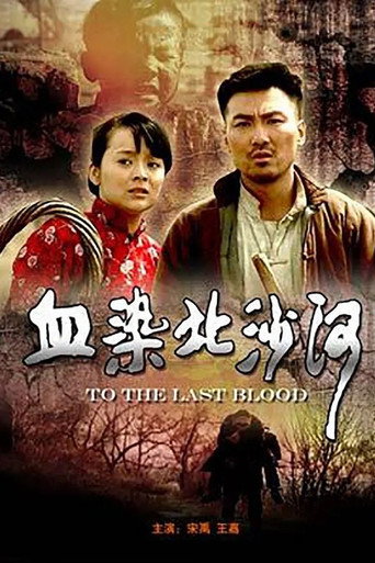 Póster de 血染北沙河