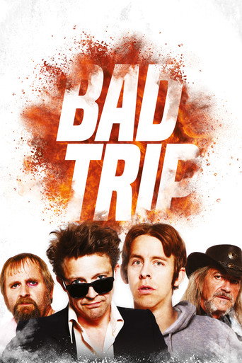Póster de Bad Trip