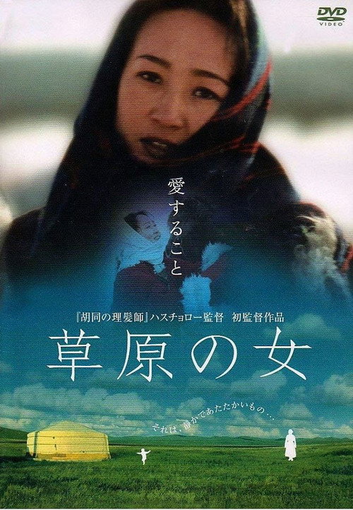 Póster de 珠拉的故事