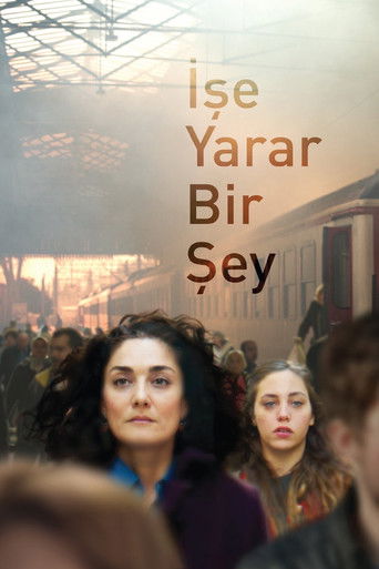 Póster de İşe Yarar Bir Şey