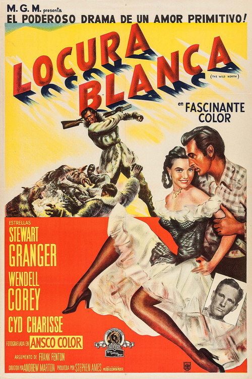 Póster de The Wild North