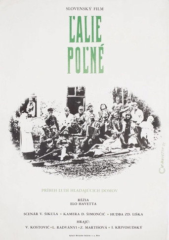 Póster de Ľalie poľné