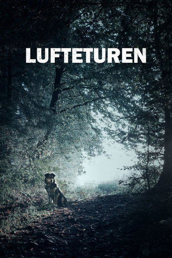 Póster de Lufteturen