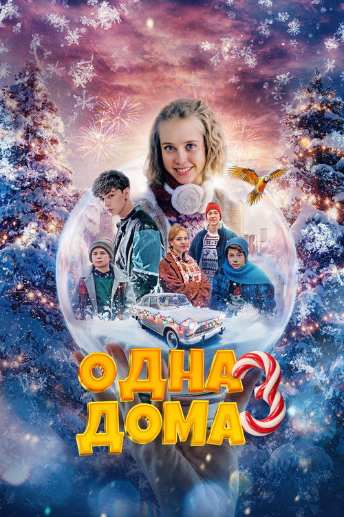 Póster de Одна дома 3