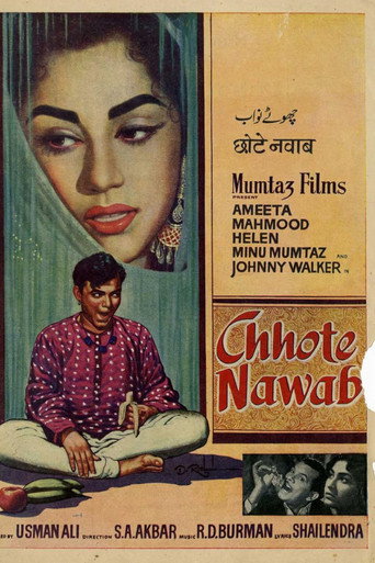 Póster de Chhote Nawab