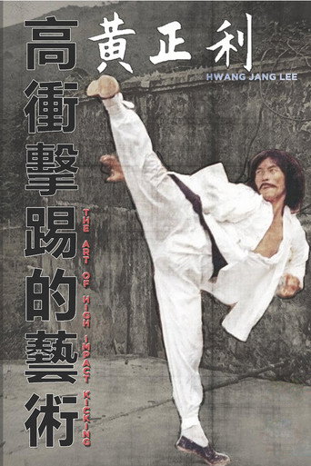 Póster de 高衝擊的藝術