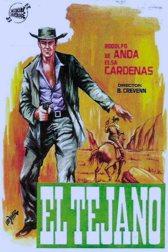Póster de El texano