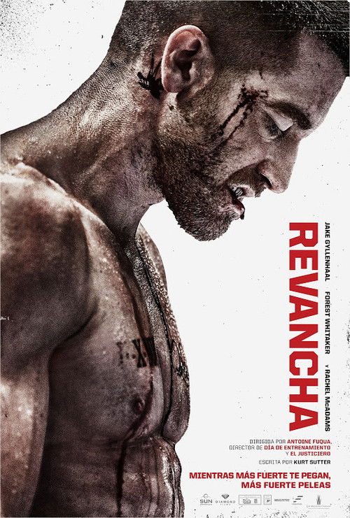 Póster de Revancha