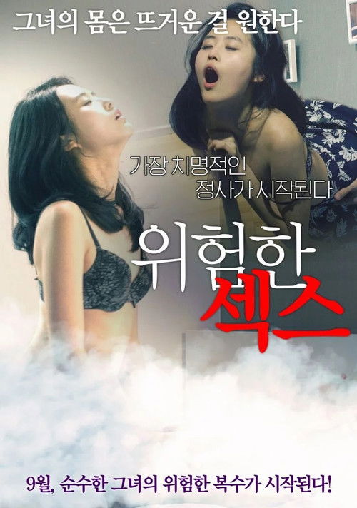 Póster de 위험한 섹스