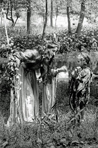 Póster de A Midsummer Night's Dream