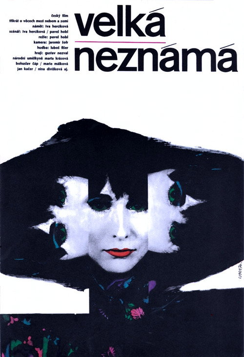 Póster de Velká neznámá