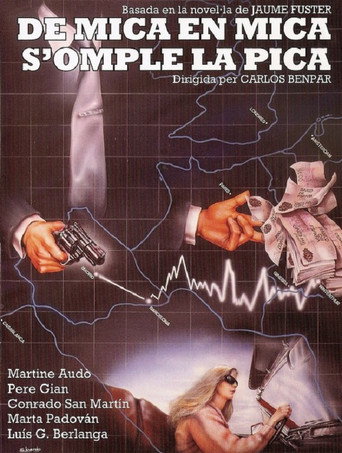 Póster de De mica en mica s’omple la pica