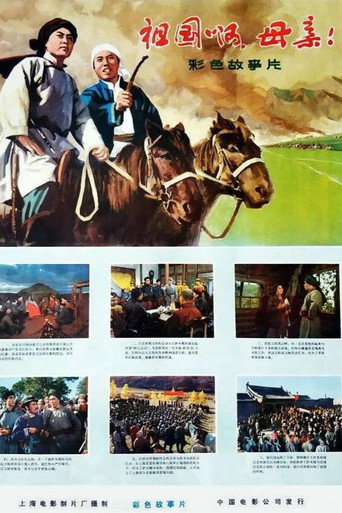 Póster de 祖国啊，母亲