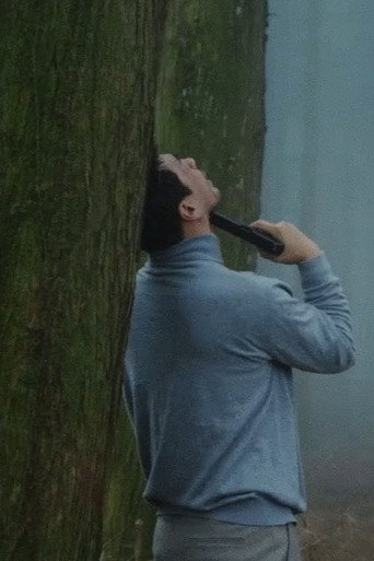 Póster de Man In The Fog