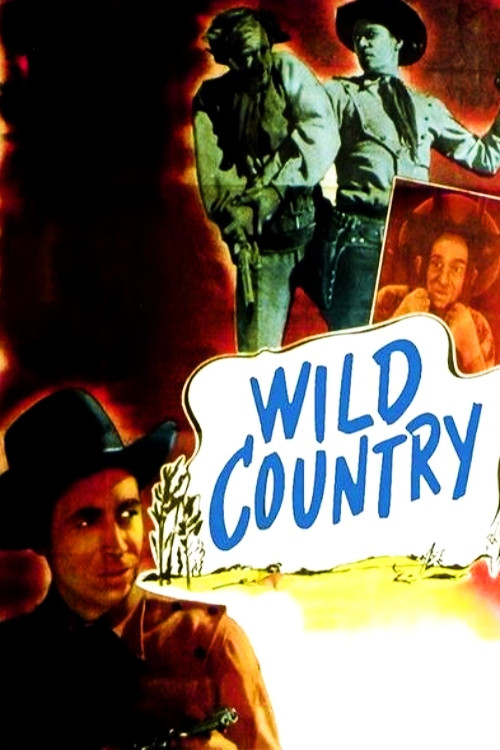 Póster de Wild Country