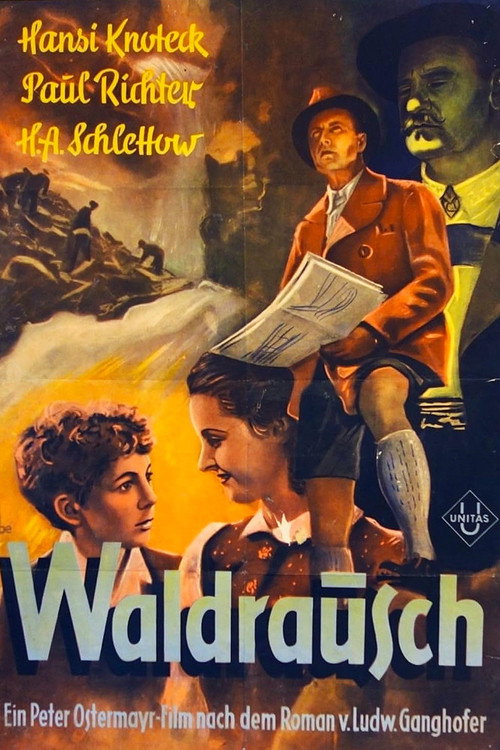 Póster de Waldrausch