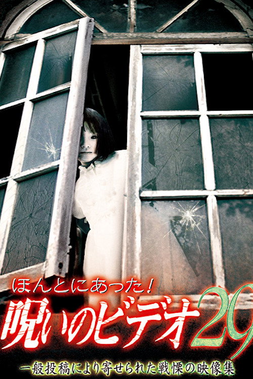 Póster de ほんとにあった! 呪いのビデオ 29