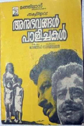 Póster de അനുഭവങ്ങൾ പാളിച്ചകൾ