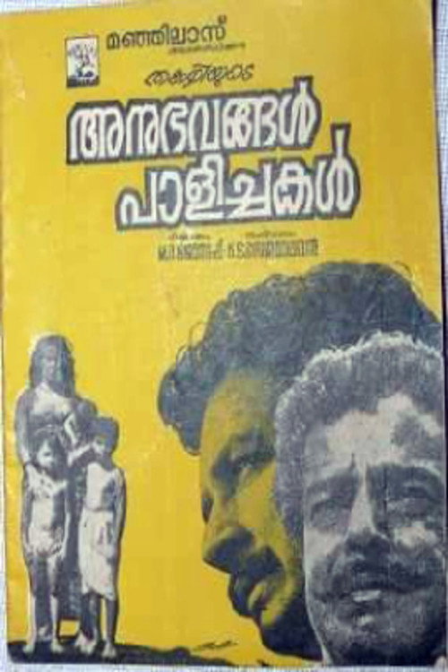 Póster de അനുഭവങ്ങൾ പാളിച്ചകൾ